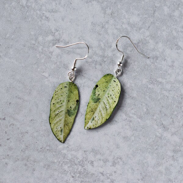 Dieffenbachia "Camouflage" || Boucles d'oreilles feuille faites à la main || Boucles d'oreilles végétales || Boucles d'oreilles en argent sterling