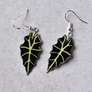Alocasia Polly || Handmade Leaf Earrings || Plant Earrings || Sterling Silver Earrings
