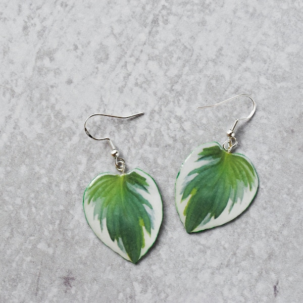 Hosta Patriot || Handmade Leaf Earrings || Plant Earrings || Sterling Silver Earrings