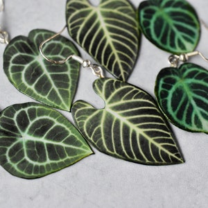 Anthurium Clarinervium // Pendientes de hoja hechos a mano // Pendientes de plantas // Pendientes de plata esterlina imagen 3