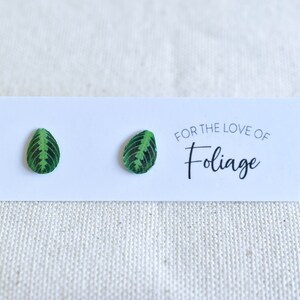 Lemon Lime Maranta Stud Earrings
