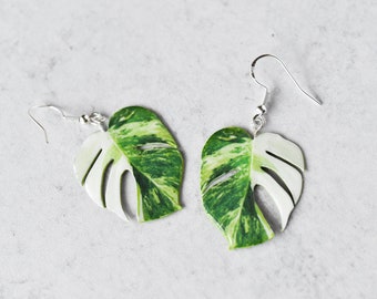 Monstera Albo Half Moon || Handmade Leaf Earrings || Plant Earrings || Sterling Silver Earrings