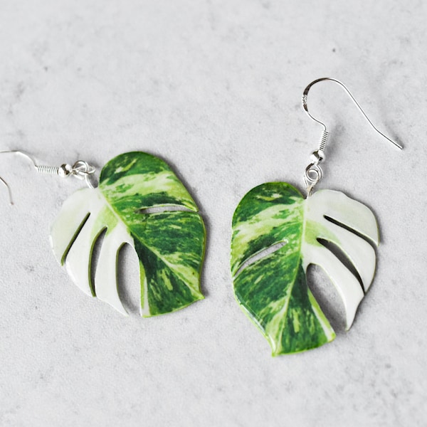 Monstera Albo Half Moon || Handmade Leaf Earrings || Plant Earrings || Sterling Silver Earrings