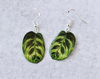 Calathea Makoyana “Peacock” || Handmade Leaf Earrings || Plant Earrings || Sterling Silver Earrings