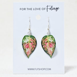 Aglaonema Favonian || Handmade Leaf Earrings || Plant Earrings || Sterling Silver Earrings