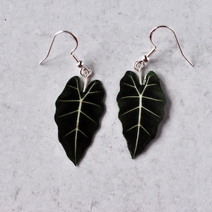 Alocasia Frydek || Handmade Leaf Earrings || Plant Earrings || Sterling Silver Earrings
