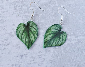 Philodendron Mamei Silver || Handmade Leaf Earrings || Plant Earrings || Sterling Silver Earrings