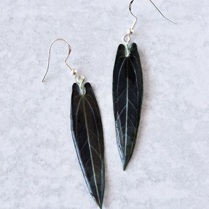 May include: A pair of earrings featuring dark green leaves encased in clear resin. The leaves have a delicate vein pattern and are attached to silver hooks.