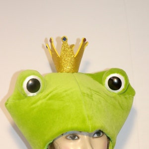 Frosch Verkleidung