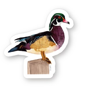 Wood Carved Animal Fridge Magnet Adult Kitchen Decor Cute Unique Custom Art  Figurine (Female Mallard Duck)