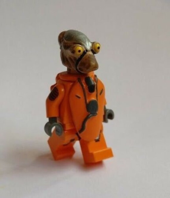Etsy hotsell custom lego