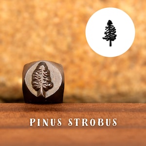 Metal Design Stamp Pinus Strobus, Metal Stamping Punch Tools, Supplies for Hand Stamped DIY, Jewelry Making, Custom metal stamps