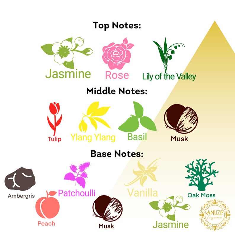 K&ouml;nnte beinhalten: Ein Diagramm der Duftnoten mit den Texten "Kopfnoten", "Herznote" und "Basisnoten". Das Diagramm zeigt Illustrationen von Jasmin, Rose, Maigl&ouml;ckchen, Tulpe, Ylang-Ylang, Basilikum, Moschus, Ambra, Patschuli, Vanille, Eichenmoos und Pfirsich.