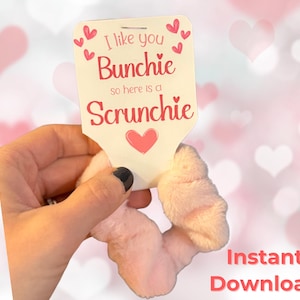May include: A pink scrunchie with a white card that says "I like you Bunchie so here is a Scrunchie". The card has pink hearts around the edges.