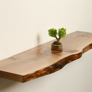 Könnte beinhalten: Ein Regal aus Naturholz mit einer lebenden Kante. Das Regal ist an einer weißen Wand montiert und hat eine kleine Topfpflanze darauf.