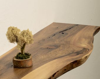 May include: A rustic wooden shelf made from a single piece of walnut wood with a live edge. The shelf has a natural, organic shape and is perfect for displaying decorative items. A small potted plant with dried moss sits on the shelf.
