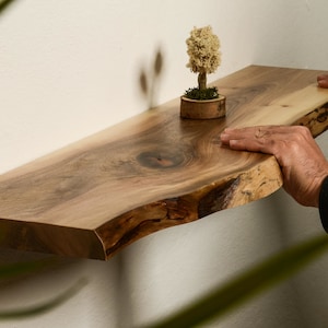 Op de afbeelding: Een natuurlijke houten plank met een levende rand, gemonteerd aan een witte muur. De plank is gemaakt van lichtbruin hout met een natuurlijk houtnerfpatroon. Een kleine plant in een pot staat op de plank.