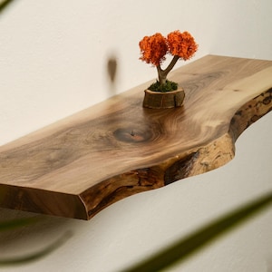 Puede incluir: Estante flotante de madera con borde natural, con veta de madera natural y un pequeño árbol decorativo con follaje naranja. El estante está montado en una pared blanca, creando una estética minimalista.