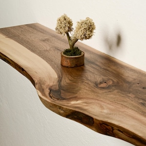 May include: A natural wood shelf with a live edge, featuring a small potted plant with dried flowers. The shelf is made of walnut wood and has a rustic, organic look.