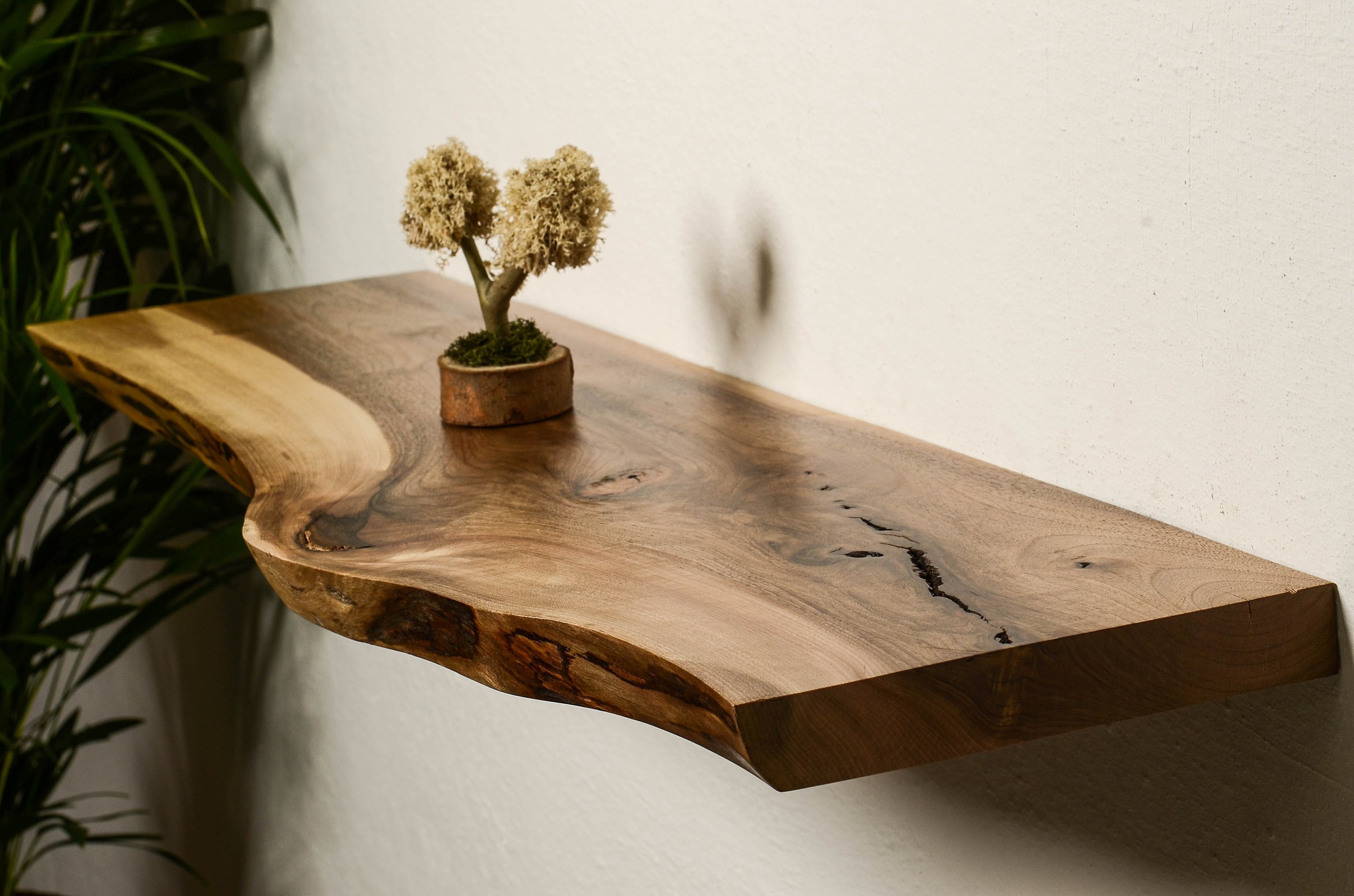 live edge tree slice bookend design rustic wooden shelf decor