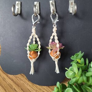 May include: Two small macrame plant hangers with faux succulents hanging from hooks on a black chalkboard. The hangers are made with cream-colored cord and have a tassel at the bottom.
