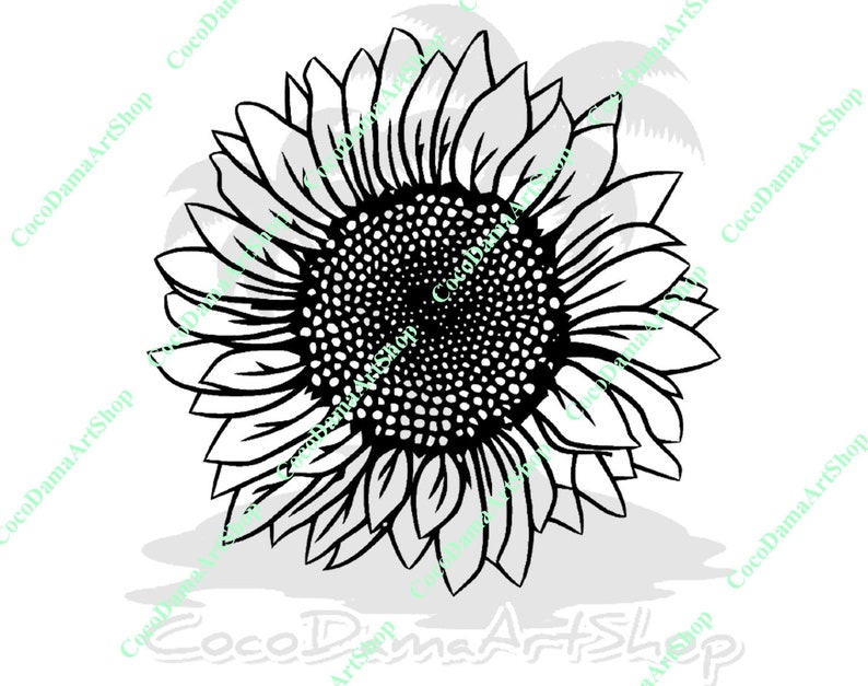 Free Free 225 Sunflower Svg Download SVG PNG EPS DXF File