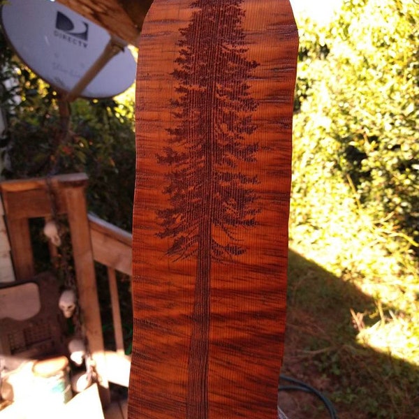 Redwood Tree Engraving