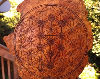 Flower/Tree of Life Laser Engraving on Maple Burl