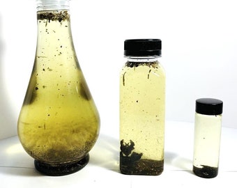 Witches Brew Oil : protection puissante de la maison