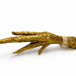 May include: A gold-colored, textured decorative object shaped like a bird's foot. The foot has three long toes and a textured surface. A white and gold string is wrapped around the base of the foot.