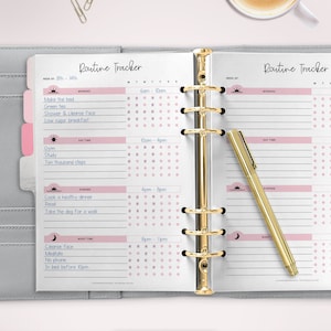 May include: A pink and white daily routine tracker planner with a gold binder. The planner has sections for morning, day time, evening, and night time. Each section has a list of activities to complete and a grid of boxes to check off.