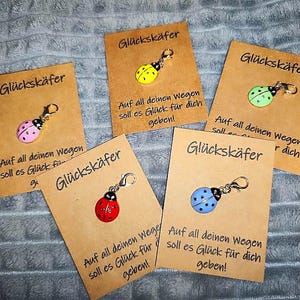 Könnte beinhalten: Fünf Marienkäfer-Anhänger in Rosa, Gelb, Grün, Rot und Blau werden auf kleinen braunen Karten präsentiert. Jede Karte trägt das Wort "Glückskäfer" und einen deutschen Satz. Die Anhänger haben silberfarbene Verschlüsse.