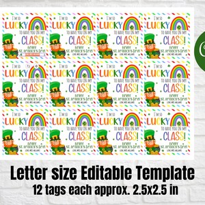 So Lucky to have you in my class ,St. Patricks Day Class School day care gift tags from teacher,Editable Favor Tags Canva Template,Printable image 3