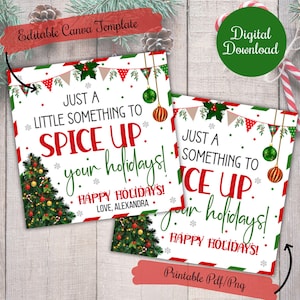 Solo un piccolo tocco per dare un po' di brio alle tue etichette regalo per le feste, etichette regalo con salsa piccante per vicini, amici, familiari, colleghi di lavoro Condimenti