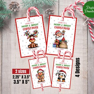May include: Four Christmas gift tags with candy cane handles. Each tag features a festive illustration: a reindeer with lights, Santa Claus, a gingerbread man, and a penguin. The tags are available in two sizes: 5.7 cm x 8.9 cm and 8.9 cm x 12.7 cm.