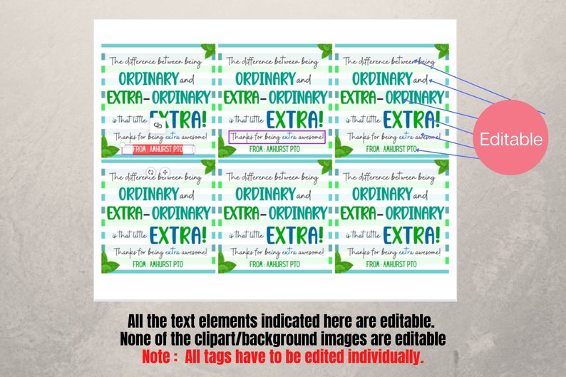 Teacher Appreciation Week Extra Gift Tags,difference Between Ordinary ...