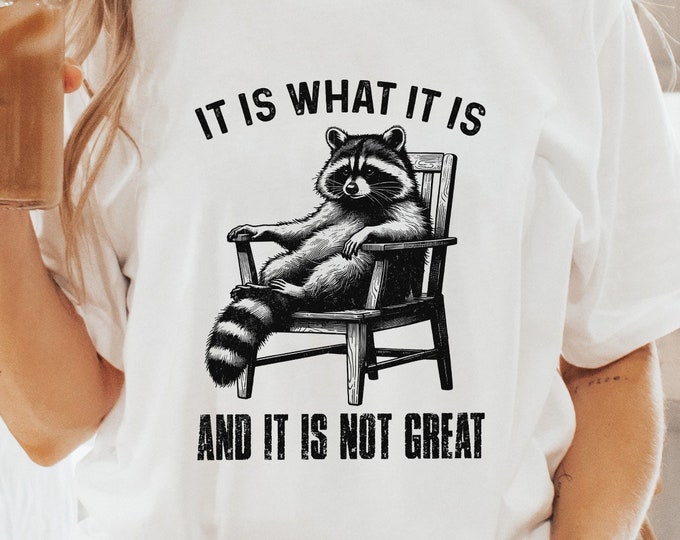 It Is What It Is, And It Is Not Great Racoon T-Shirt Design, Sarcastic Funny Graphic Tee PNG, Trending Sublimation Design, Digital Download