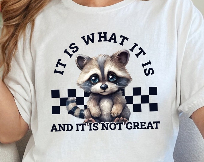 It Is What It Is, And It Is Not Great Racoon T-Shirt Design, Sarcastic Funny Graphic Tee PNG, Trending Sublimation Design, Digital Download