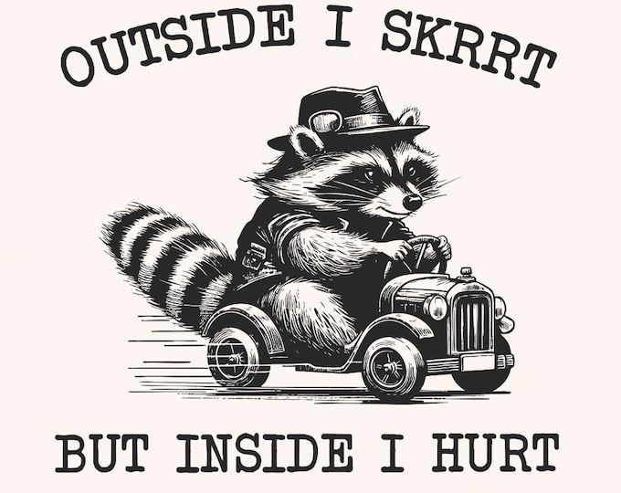 Outside I Skrrt But Inside I Hurt png PNG, Funny Raccoon Shirt Design, Trash Panda T-Shirt, Cute Raccoon Shirts, Self Care Sarcastic Sayings