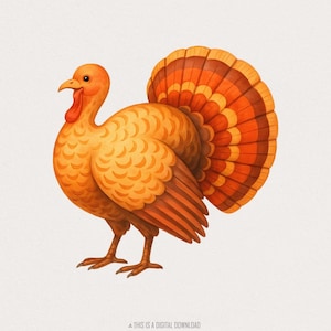 Tacchino del Ringraziamento in formato PNG, Tacchino del raccolto autunnale, Illustrazione di animali autunnali, Download digitale rustico del Ringraziamento, Tacchino in formato PNG per magliette
