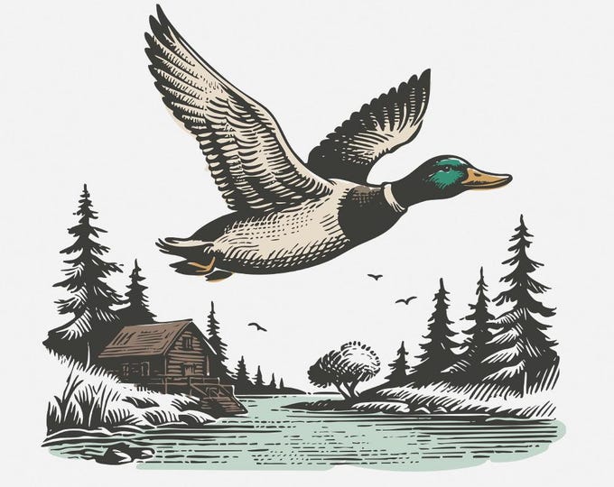 Vintage Wild Duck PNG, Mallard Duck Clipart, Duck Hunting Sublimation, Flying Mallard, Marsh PNG, Digital Download, Transparent Duck Art