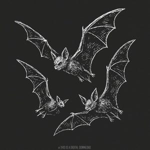 Clipart PNG de chauves-souris vintage pour une décoration gothique d'Halloween, chauve-souris dessin PNG en téléchargement numérique, art de chauve-souris dessiné à la main pour chemises et travaux manuels