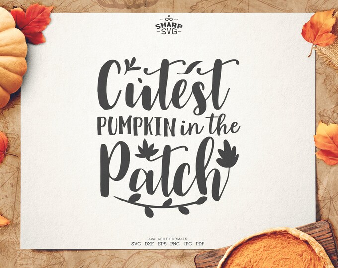 Cutest Pumpkin in the Patch SVG - Thanksgiving SVG - Quotes / Sayings - Autumn cut files - Cutting files / cut files - For Cricut
