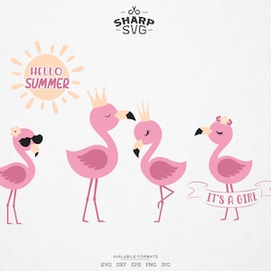 Flamingo SVG - Flamingo Bundle SVG - Cute Summer SVG - Layered Flamingo - Summer Beach Craft - For Cricut, Silhouette and more