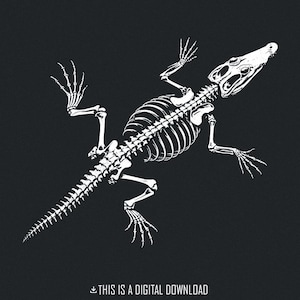 Krokodil Skelett PNG, Alligator Knochen PNG, Reptil PNG, Gator PNG, Krokodil Clipart, Krokodil, Dark Tshirt Design, Schädel PNG-Dateien
