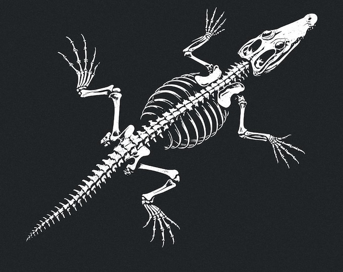 Crocodile Skeleton PNG, Alligator Bones png, Reptile png, Gator png, Crocodile Clipart, Crocodile, Dark Tshirt Design, Skull png Files