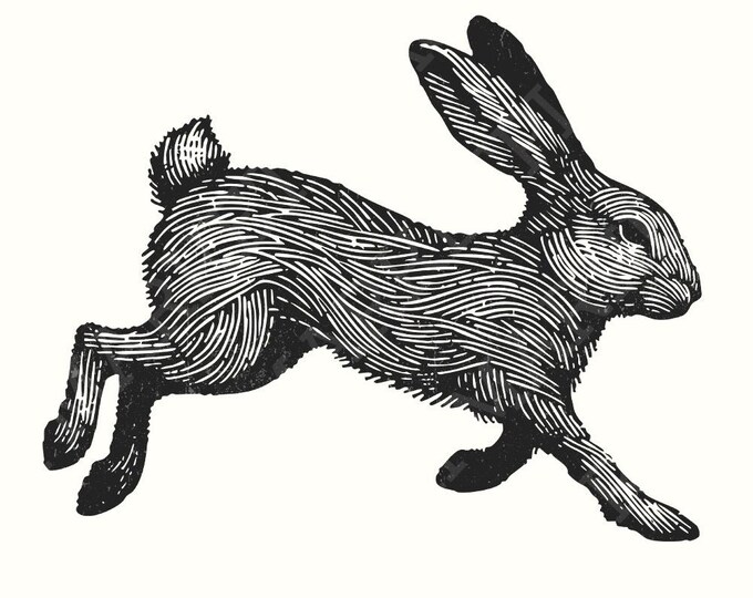 Cute Bunny Sillhouette Png, Adult Easter Png, Rabbit Draw, Vintage Sublimation, Bunny Graphic