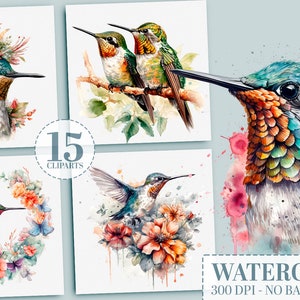 Paquete de 15 imágenes prediseñadas de colibríes en formato PNG: pájaro de acuarela, arte de pared imprimible, PNG de sublimación, álbumes de recortes, juego para hacer tarjetas, diseños de vasos