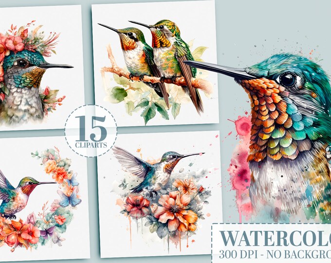 15 Hummingbird PNG Clipart Bundle: Watercolor Bird, Printable Wall Art, Sublimation PNG, Scrapbooking, Card Making Set, Tumbler Designs