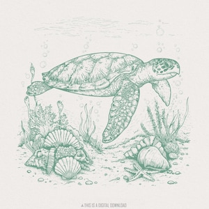 Tortuga marina PNG, descarga de sublimación, clip art de arte de tortuga, océano png, diseño de tortuga marina, estampado de tortuga, diseño de camisa de playa, ropa de verano